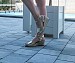 Zlati sandali s peto X13-M5854-11T