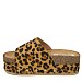Leopard natikači s platformo P7472-21G