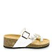 Bele japonke s peto V15-P15118-21T