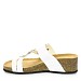 Bele japonke s peto V15-P15118-21T