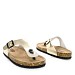 Zlate japonke D18-23S