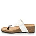 Bele japonke s peto V15-P15118-20T