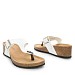 Bele japonke s peto V15-P15118-20T