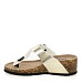 Zlate japonke s peto D18-31S
