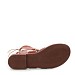 Camel gladiatorke K8873S